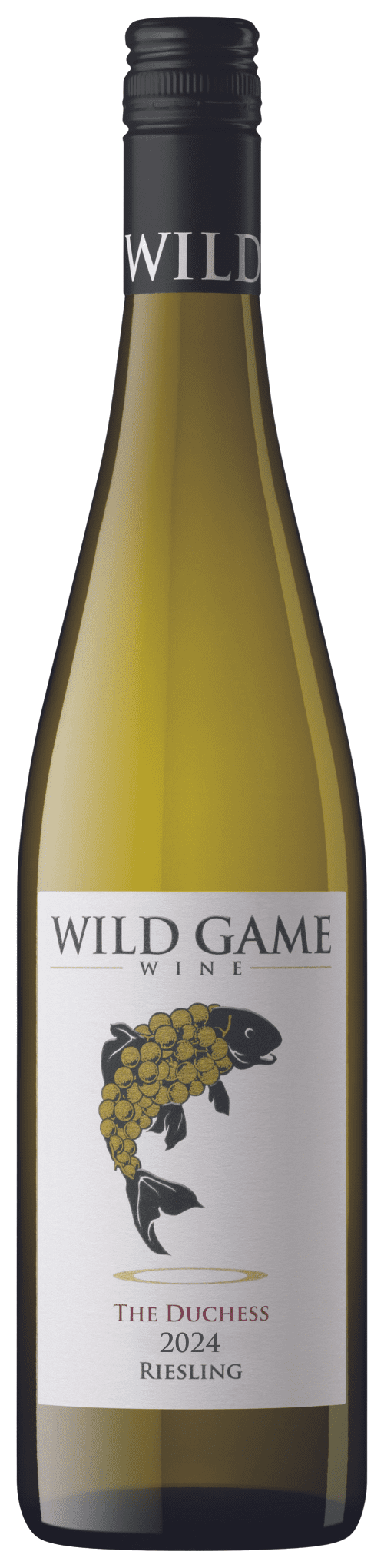 2024DUCHESS 2024DUCHESS